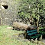 image: Image du photoset ‘grund (xiii)’.