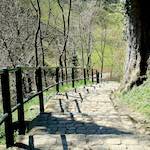 image: Image du photoset ‘grund (xiii)’.