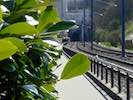 Image: First image from the photoset 'train (viii)'.