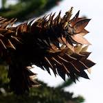 Image: Second image from the photoset 'parc (xiii)'.