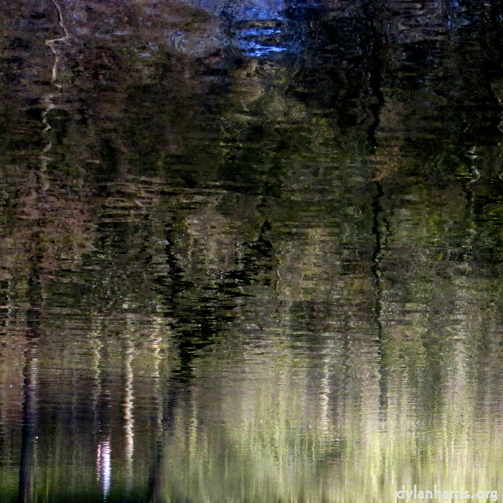 image: This is ‘wood (xiv) 1’.