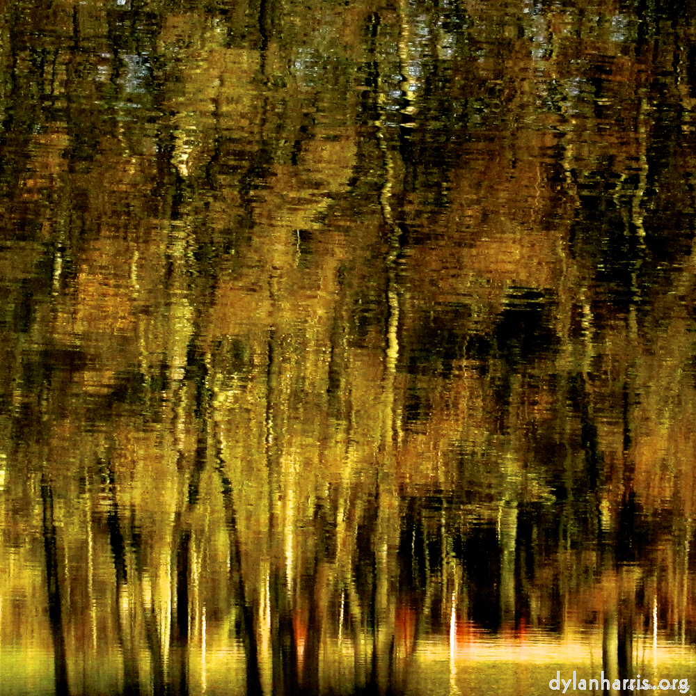 image: This is ‘wood (xiv) 2’.