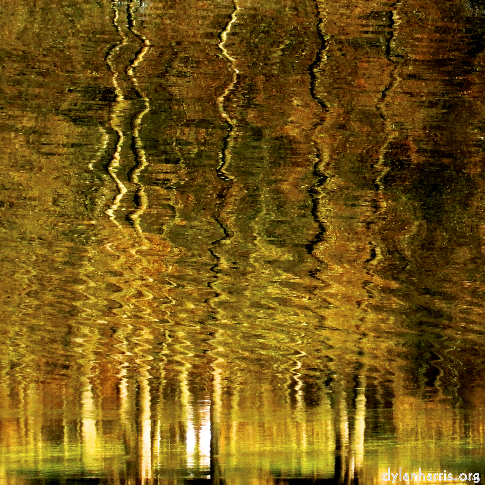 image: This is ‘wood (xiv) 5’.