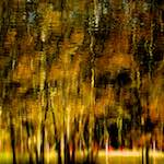 image: Image from the photoset ‘wood (xiv)’.