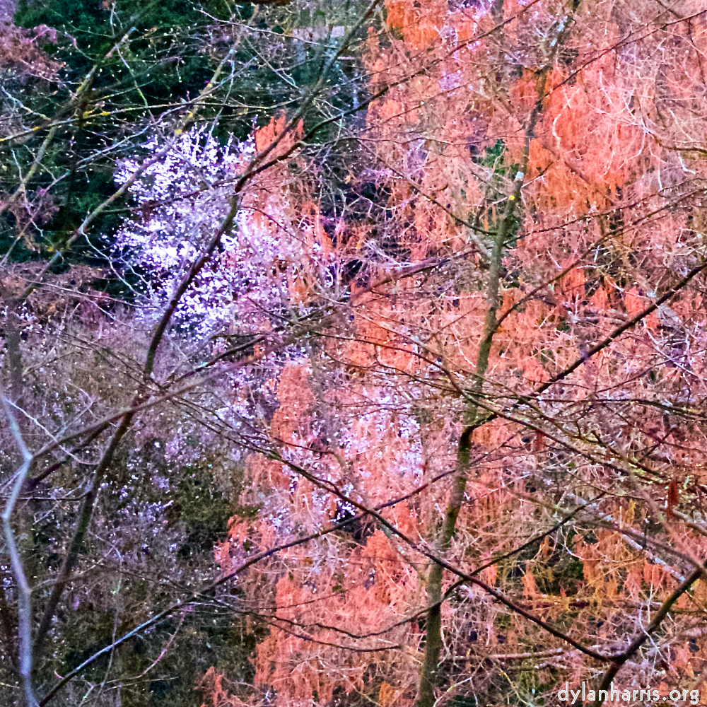 image: This is ‘spring 1’.