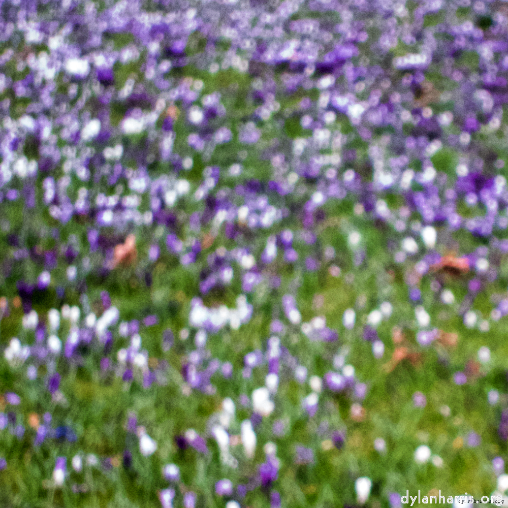 image: This is ‘spring 3’.