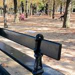 image: a bench, some trees