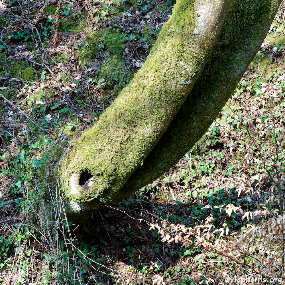 image: Image 'terres rouges (xv) 4'