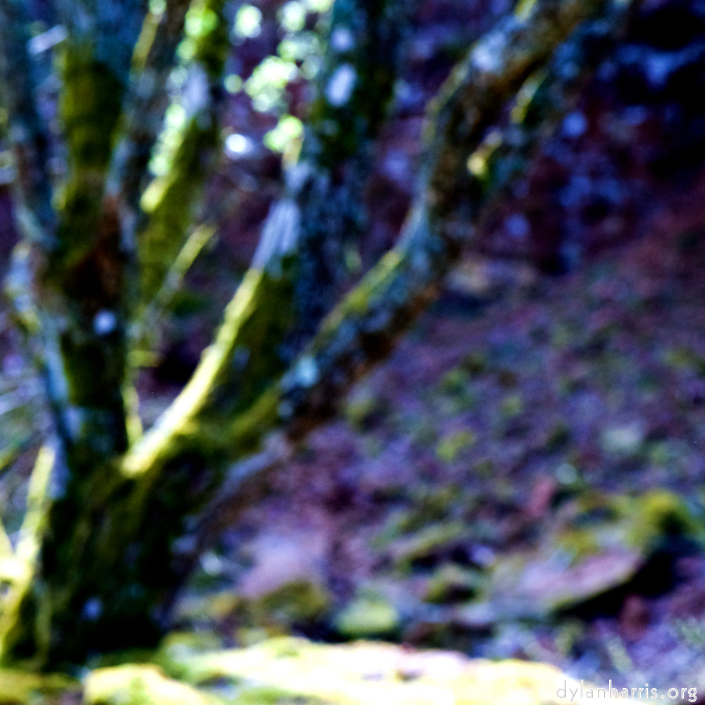 image: This is ‘wood (xliv) 3’.