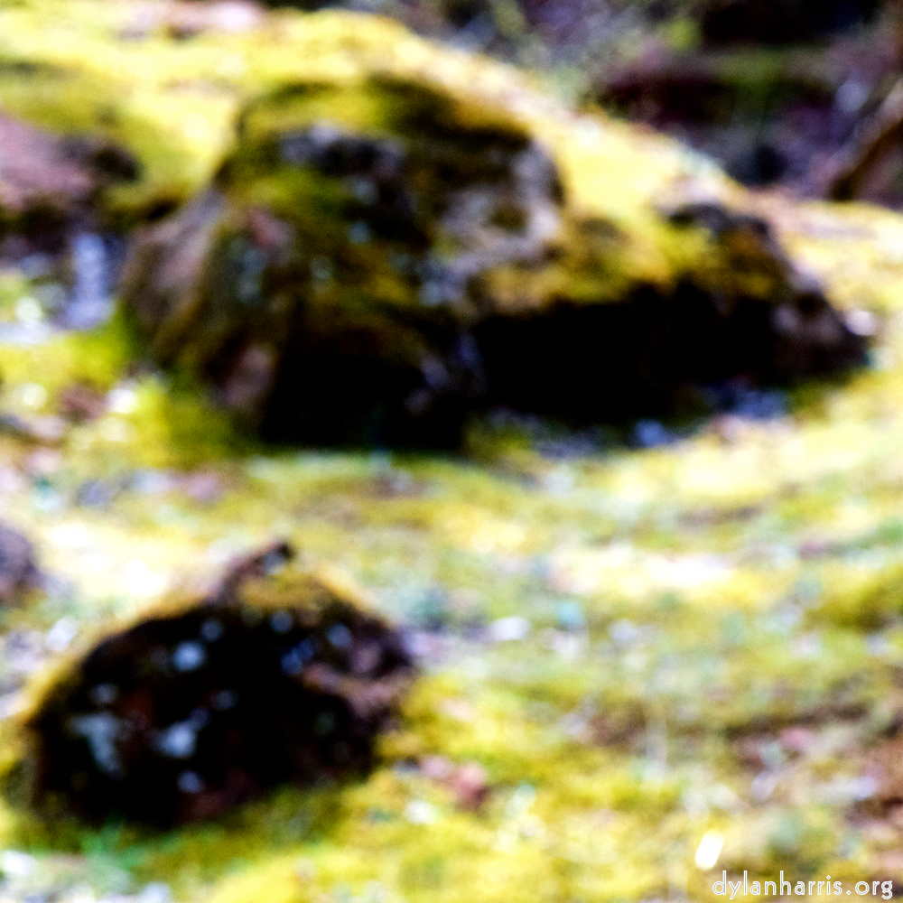 image: This is ‘wood (xliv) 4’.