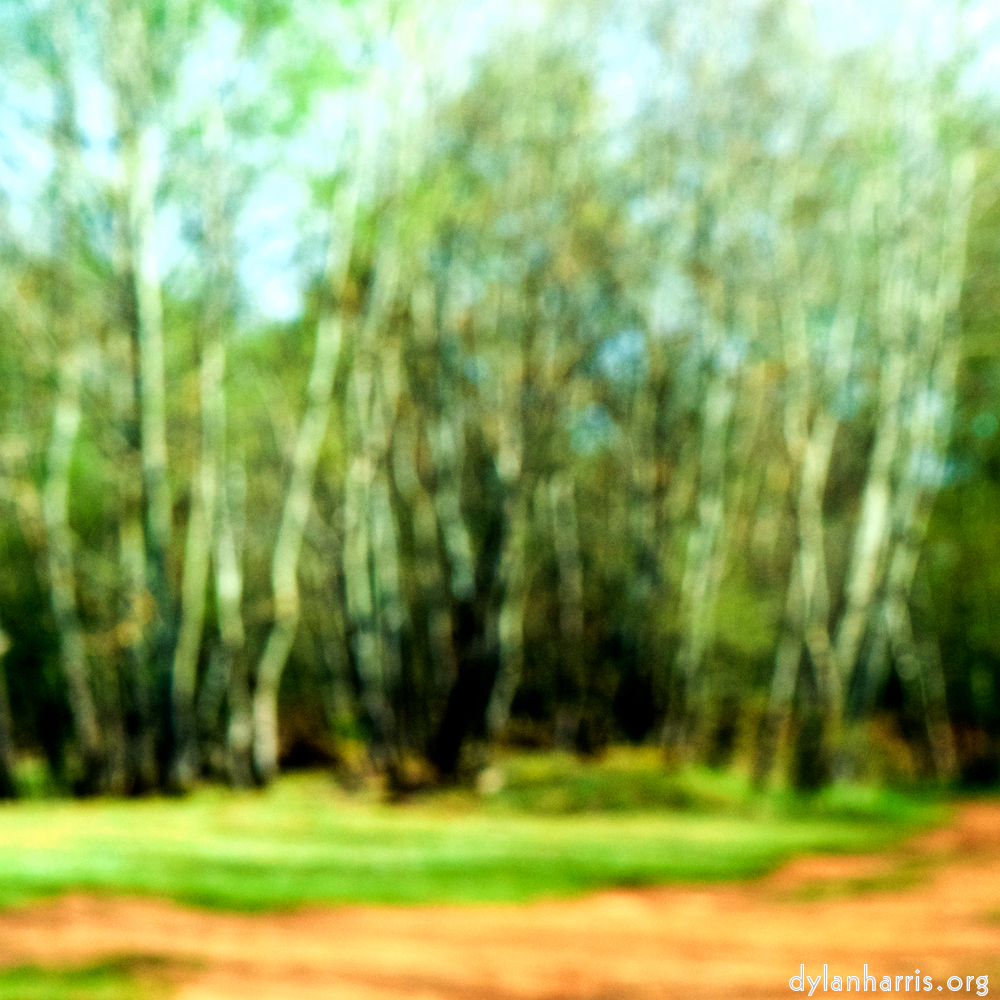 image: This is ‘wood (xliv) 5’.