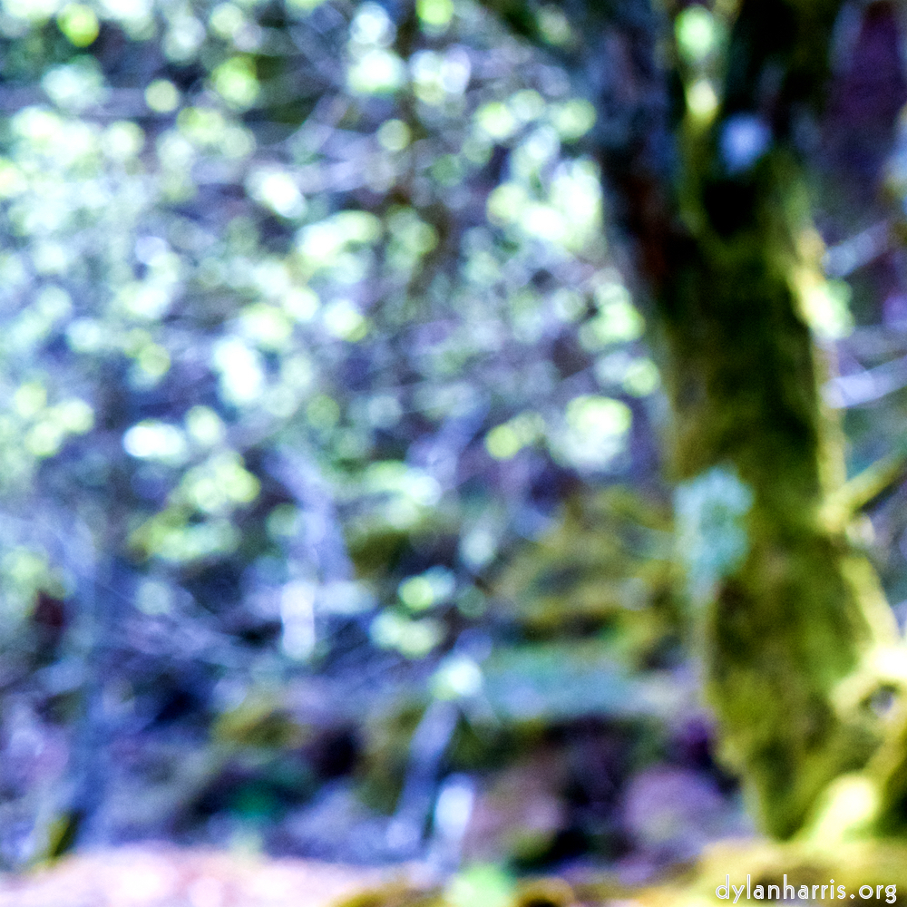 image: This is ‘wood (xliv) 6’.