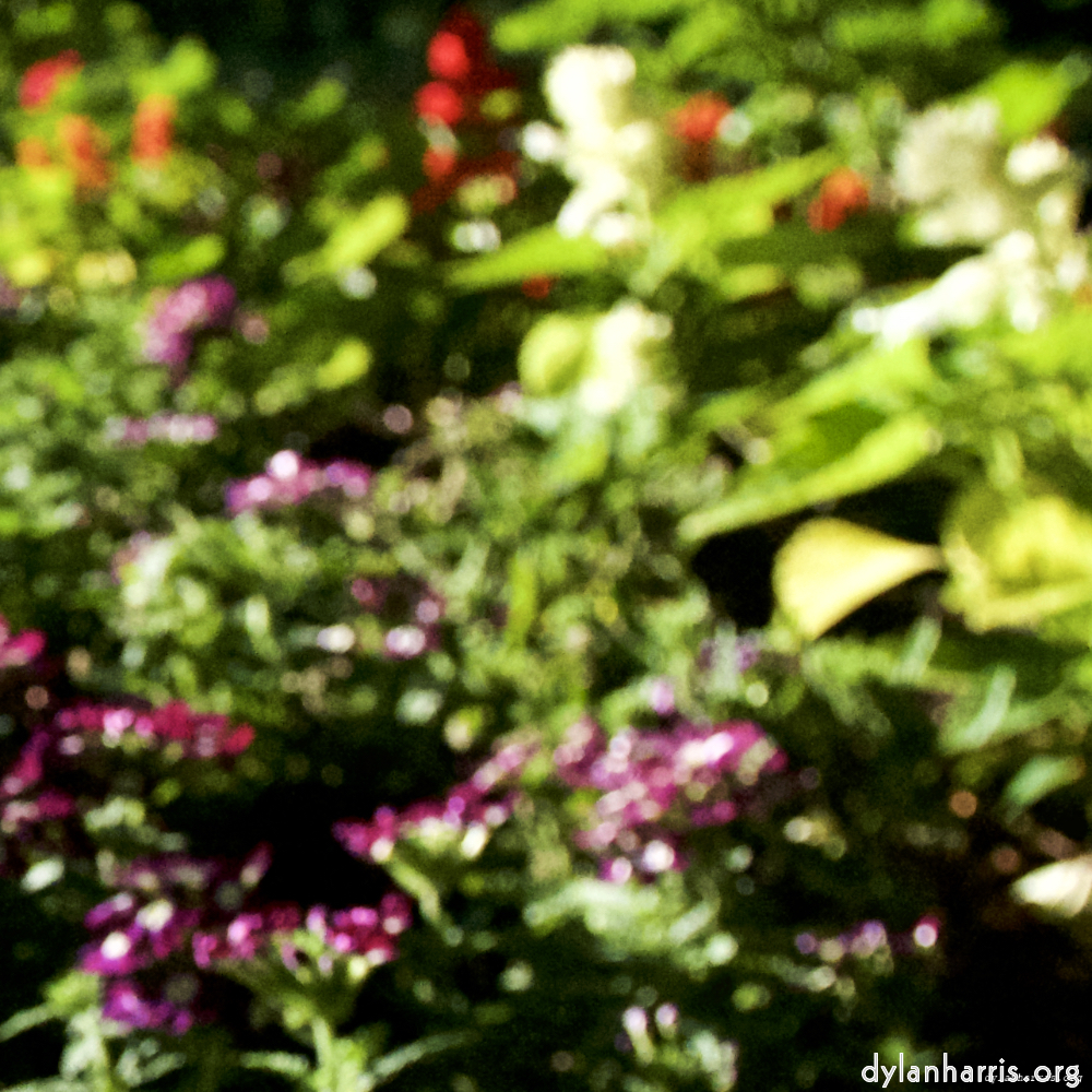 image: This is ‘parc (xviii) 5’.