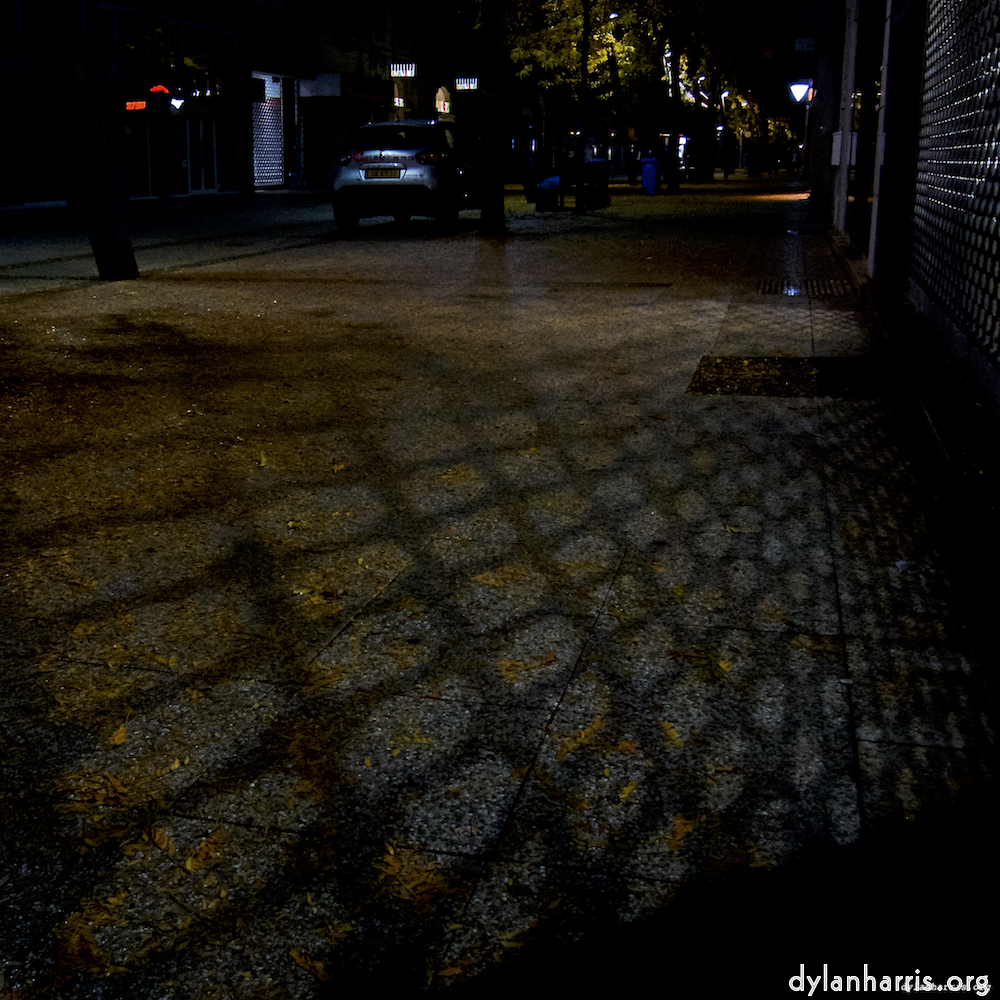 Image 'esch–sur–alzette (vii) 6', of daffodils.