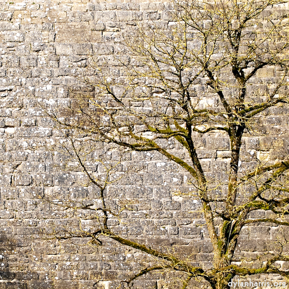 Image 'longwy (xv) 2'.