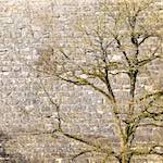 Second image from the photoset 'longwy (xv)'.
