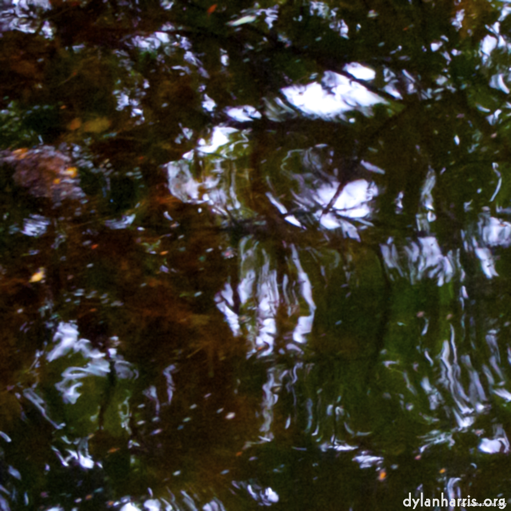 Image: Image 'rushden park 5'.