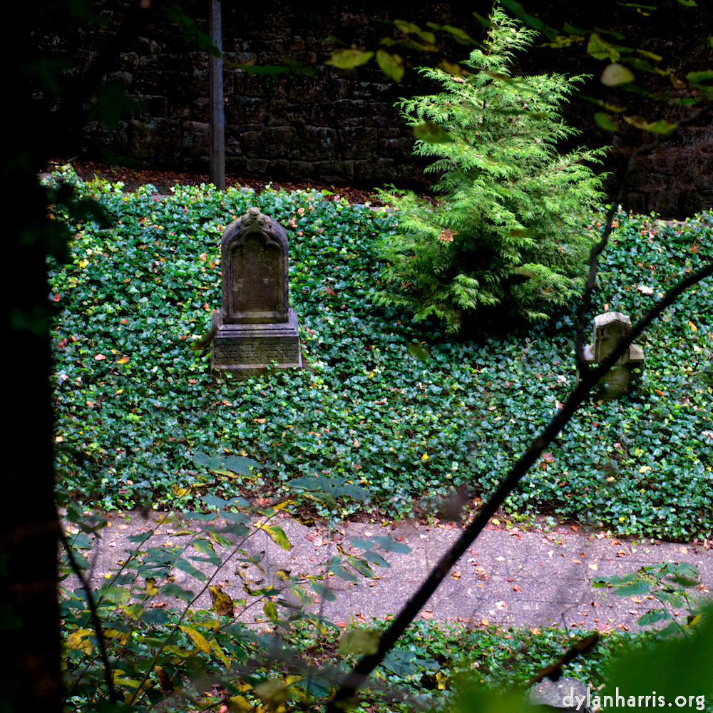 Image 'graveyard (i) 4'.