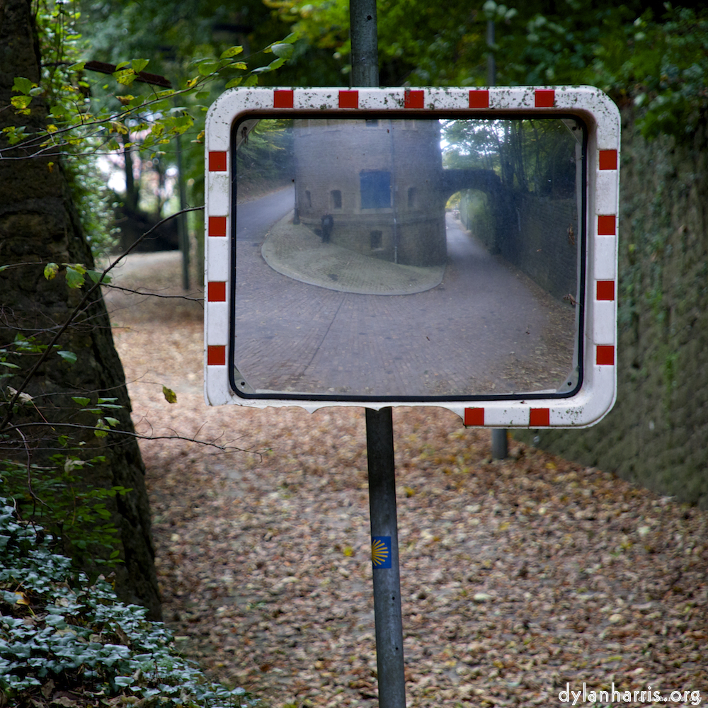Image: Image 'parc (xi) 3'.