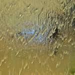 Image: Third image from the photoset 'la défense (ii)'.