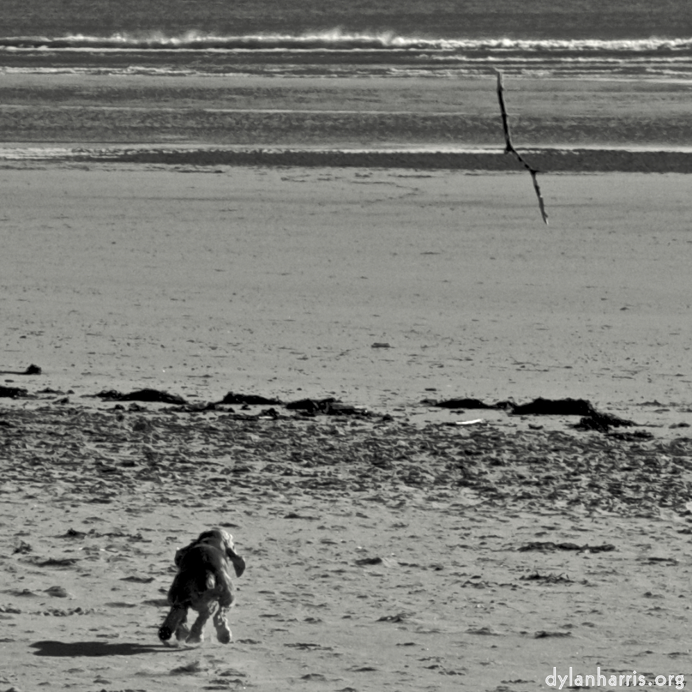 image: This is ‘alnmouth (i) (RIP) 1’.