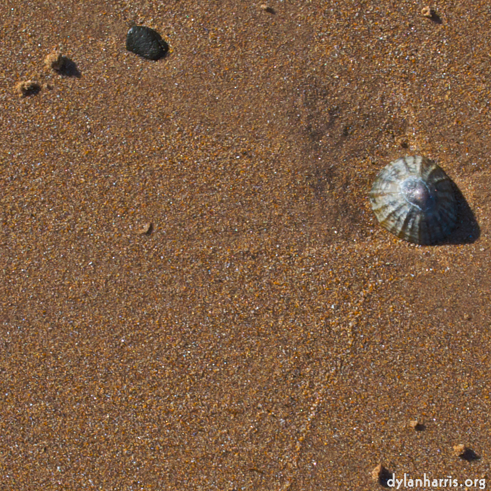 image: beach