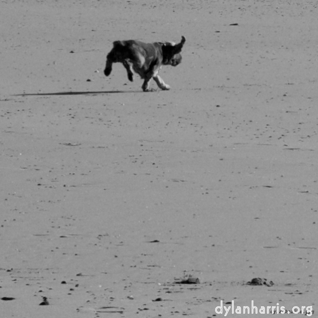 Image: Image 'alnmouth (i) (RIP) 9'.