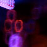 image: Image from the photoset ‘spoken word’.