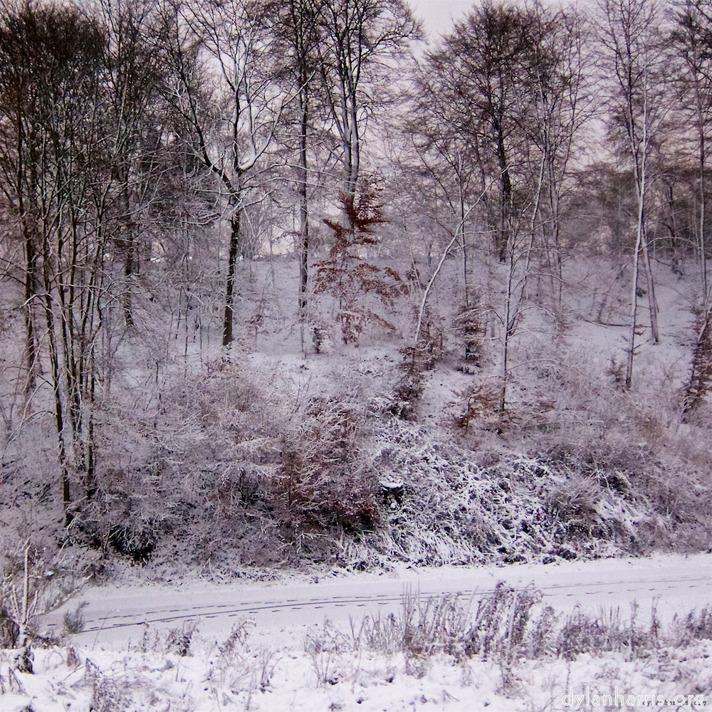 image: This is ‘way to work B (ii) 1’.