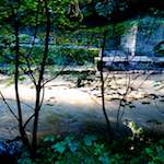 Image: First image from the photoset 'clausen (ii)'.