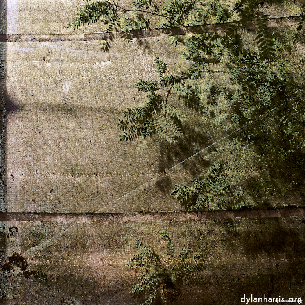 Image 'esch–sur–alzette (iii) 3', at Escher Déierepark, the head and crest of a chicken.
