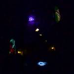 Image: Eighth image from the photoset 'amsterdam (xxvi)'.