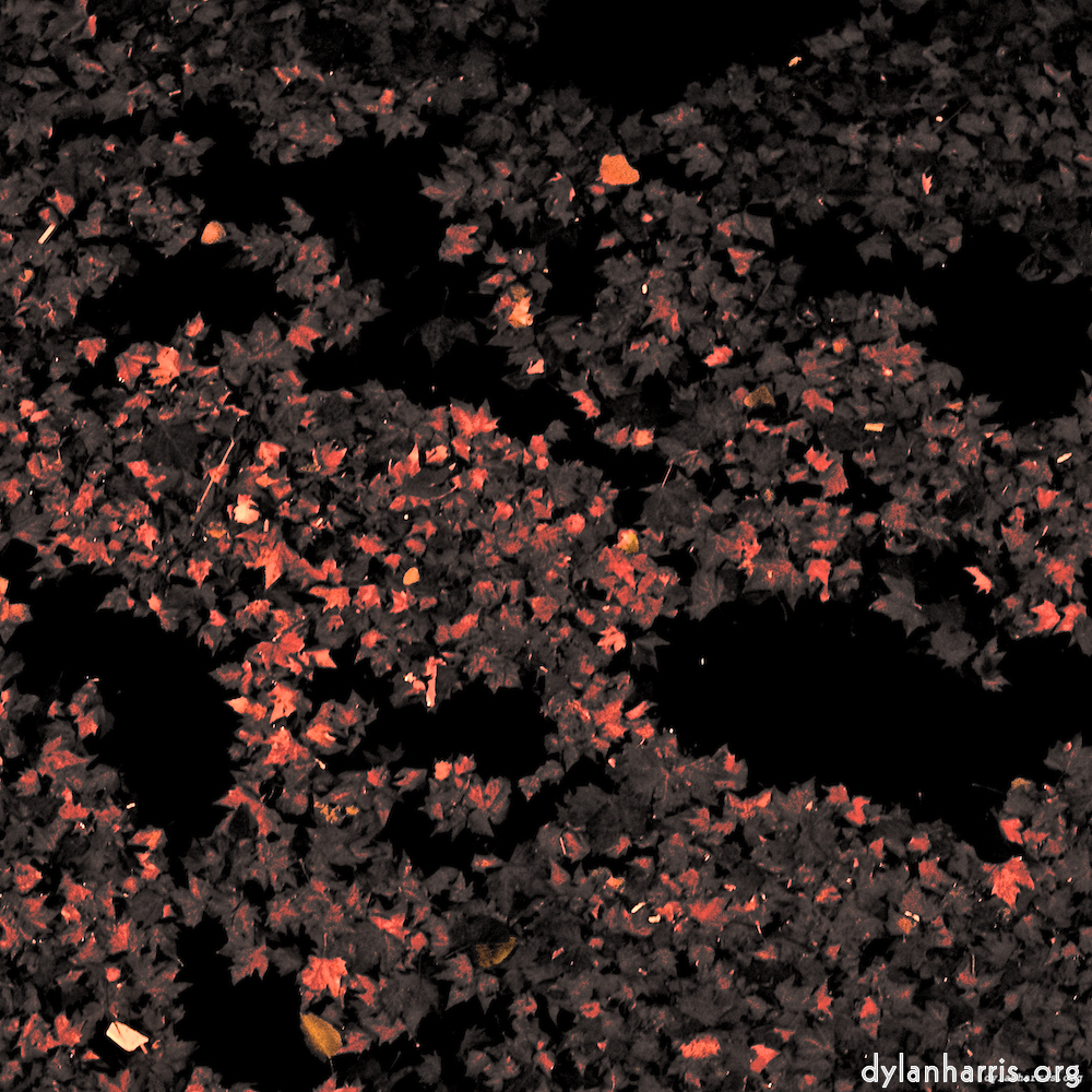 Image 'nuit (ii) 2'.