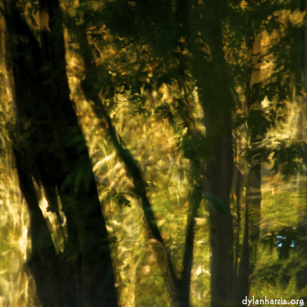 image: This is ‘la défense (x) 6’.