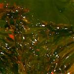 Third image from the photoset 'la défense (xv)'.