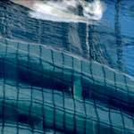 Ninth image from the photoset 'la défense (xix)'.
