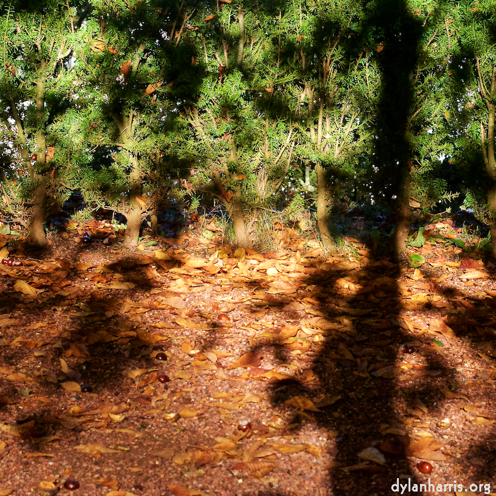 image: This is ‘autumn (iv) 1’.