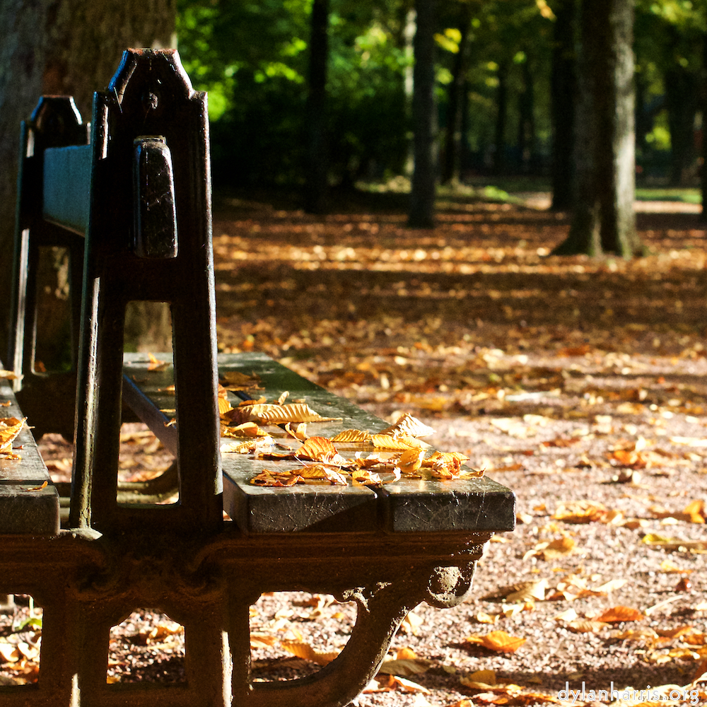 image: This is ‘autumn (iv) 5’.