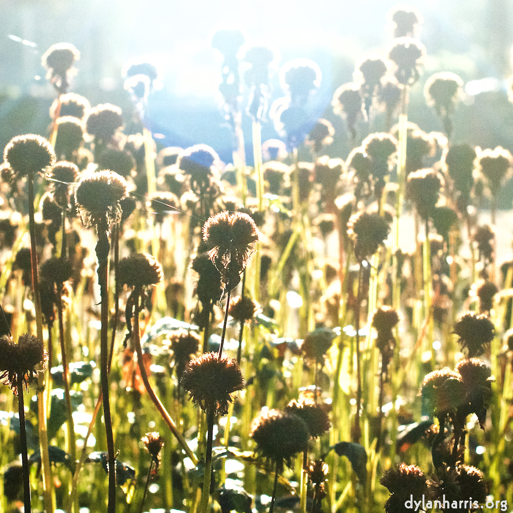 image: This is ‘autumn (iv) 6’.