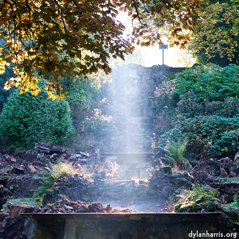 image: This is ‘autumn (iv) 8’.