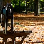 image: Image from the photoset ‘autumn (iv)’.