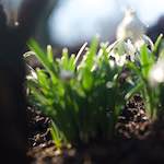 Image: march