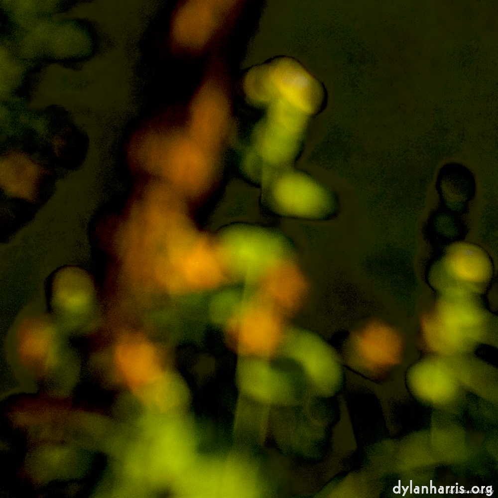 Image: Image 'parc (xxvi) 1'.