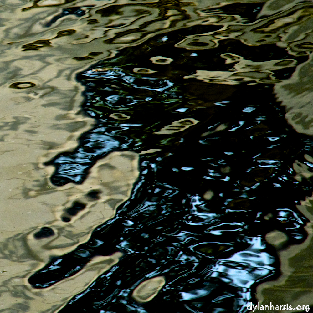 Image: Image 'gouda (iii) 6'.