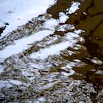 Image: Fourth image from the photoset 'gouda (iii)'.