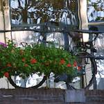 Image: Second image from the photoset 'gouda (iv)'.