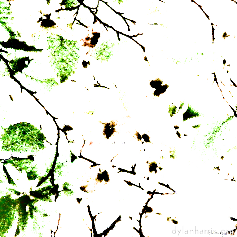 image: This is ‘leaf (iv) 4’.