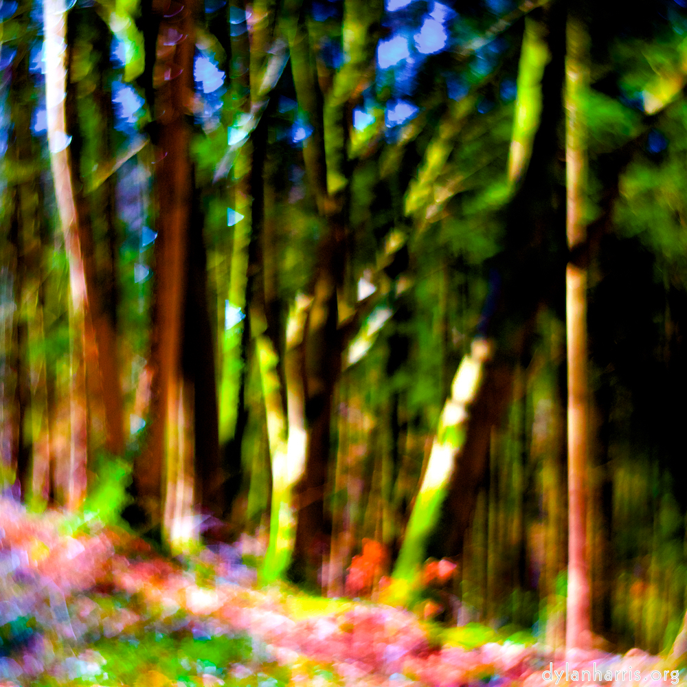 image: This is ‘wood (xxxv) 5’.