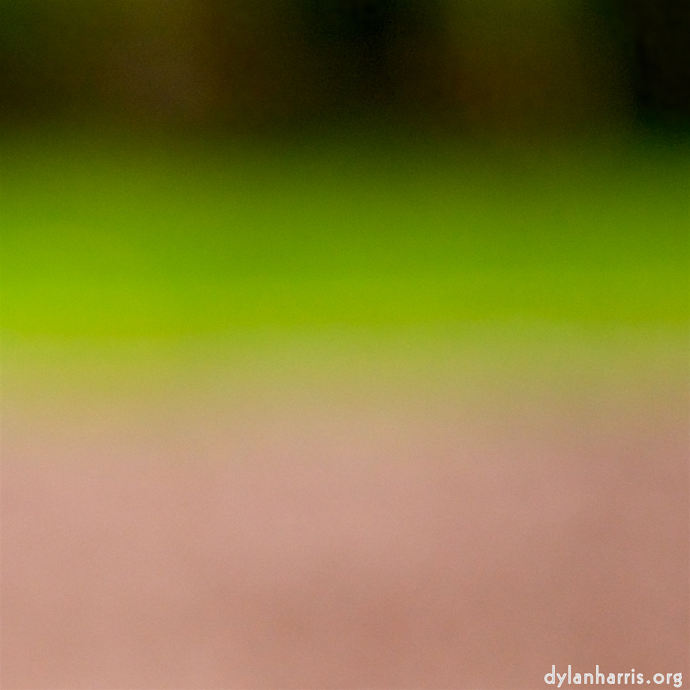 image: This is ‘park (xxxvii) 2’.
