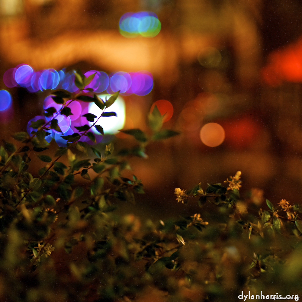 Image: Image 'nuit (v) 2'.